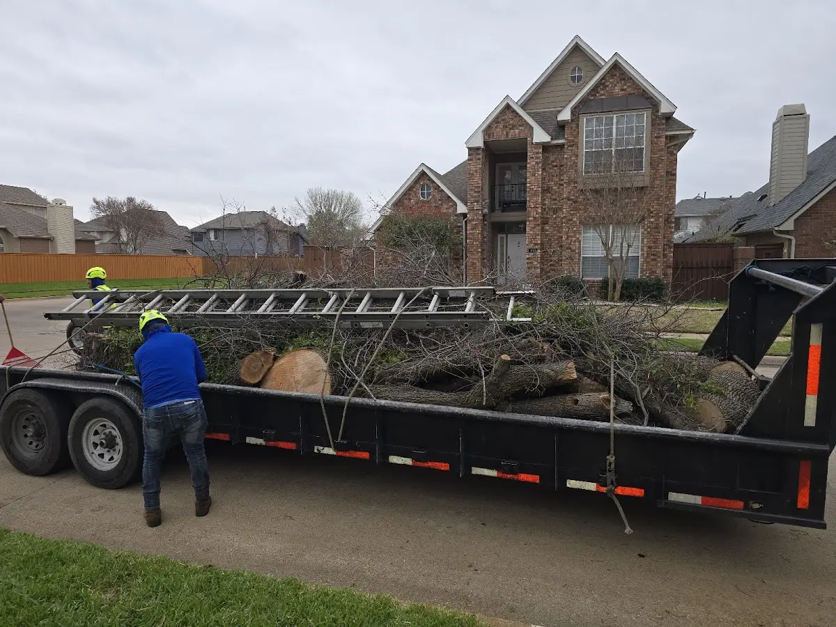 Expert Lot Clearing with proper safety equipment in Wakonda